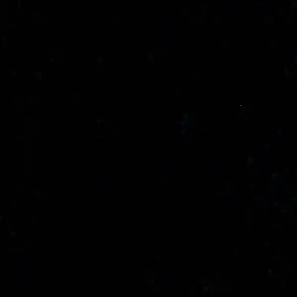 S61008TC